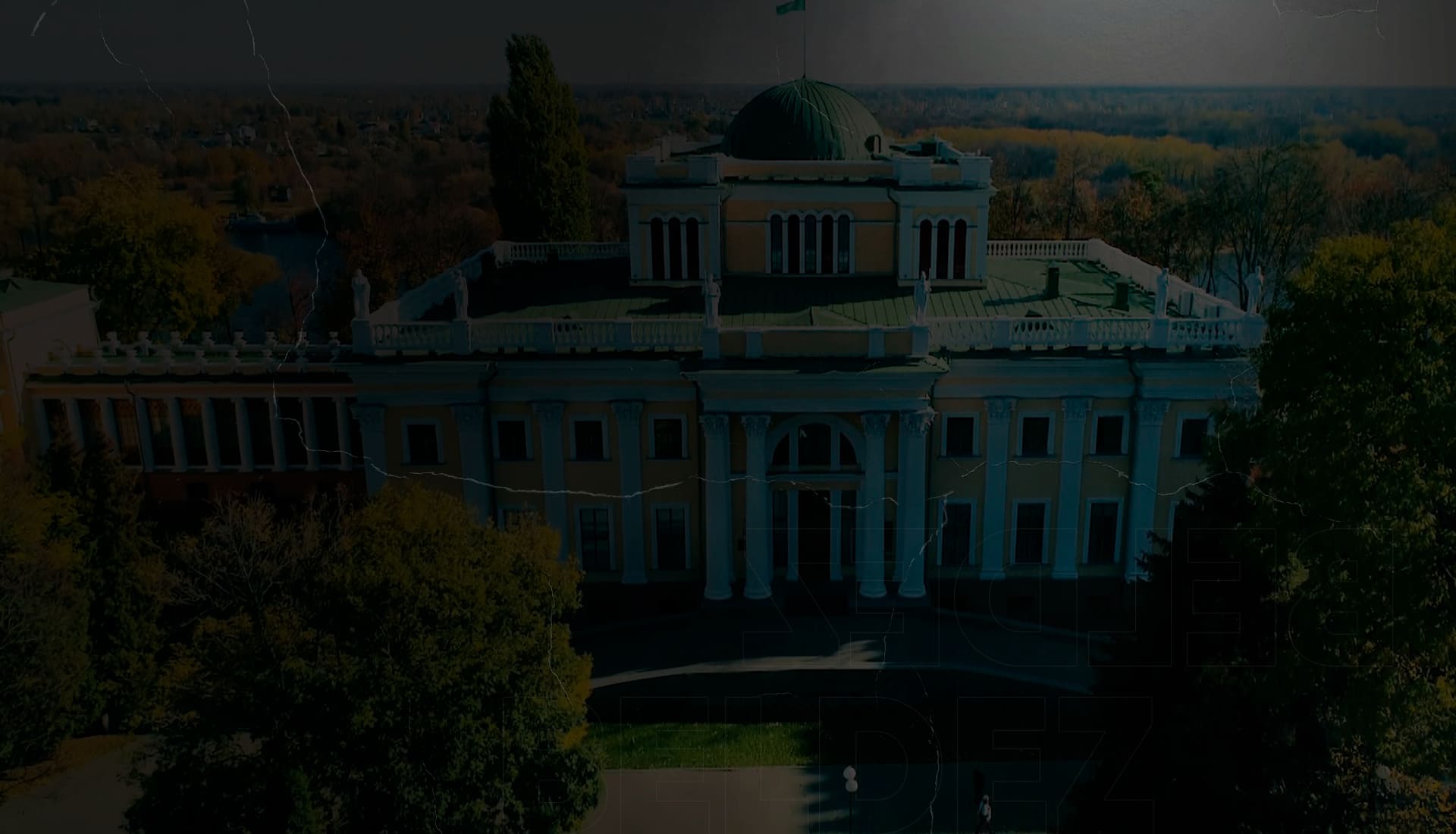 Фон дезинсекция в Гомеле и области