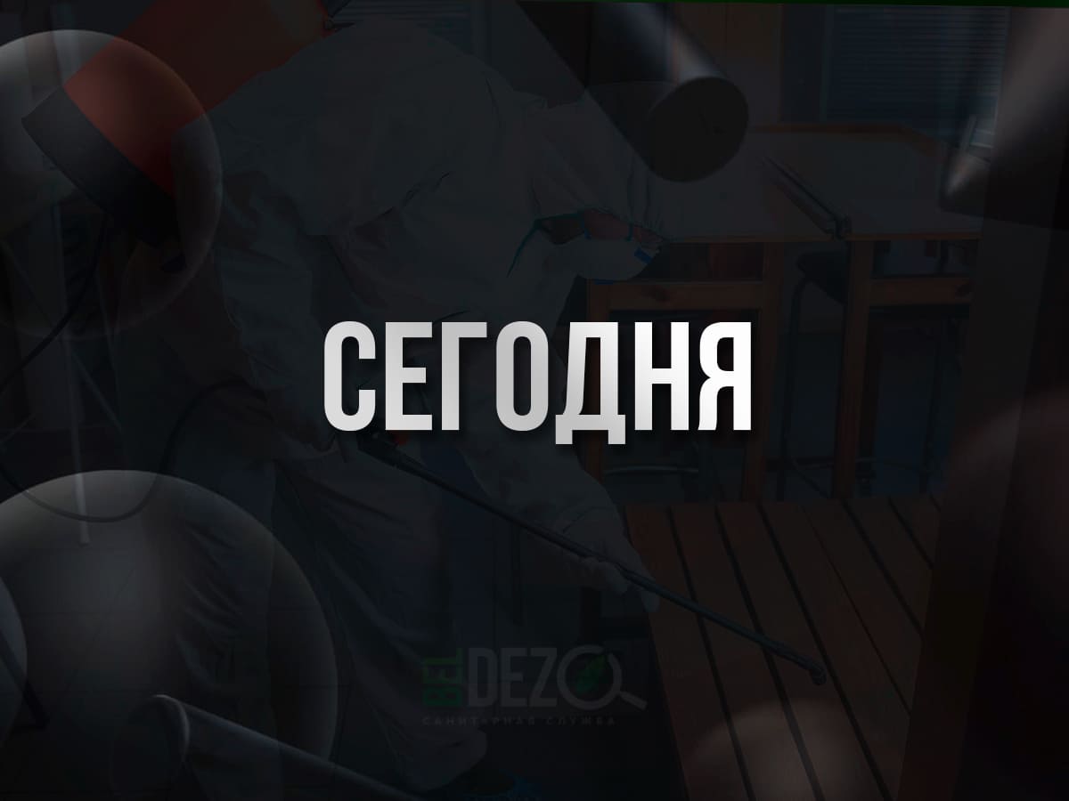 Надпись сегодня BelDez.by
