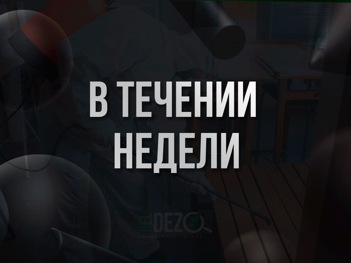 Надпись в течении недели BelDez.by