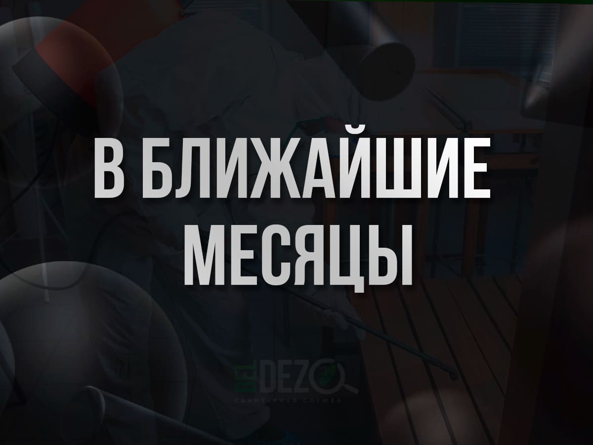 Надпись в ближайшие месяцы BelDez.by