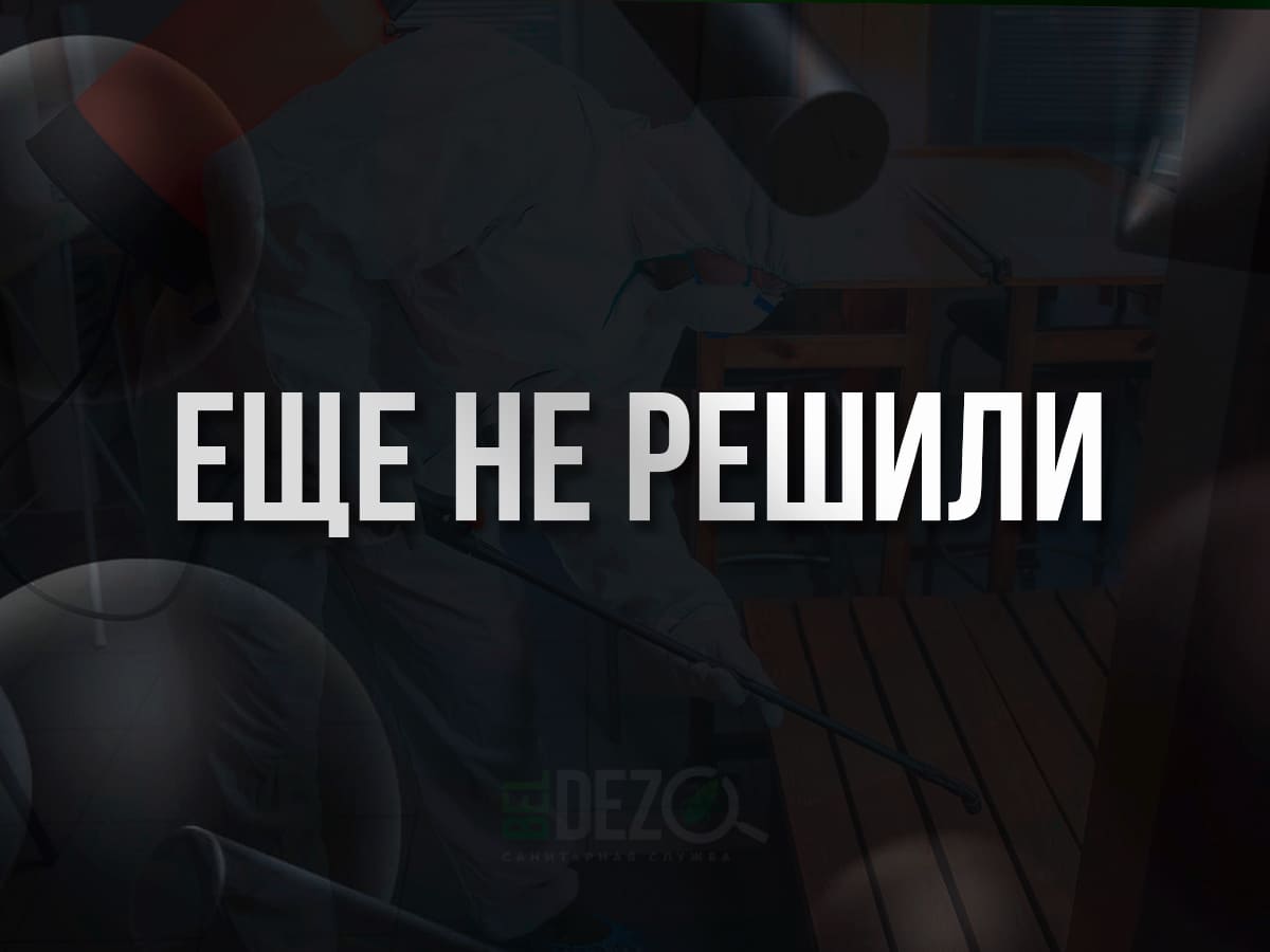 Надпись не решили BelDez.by