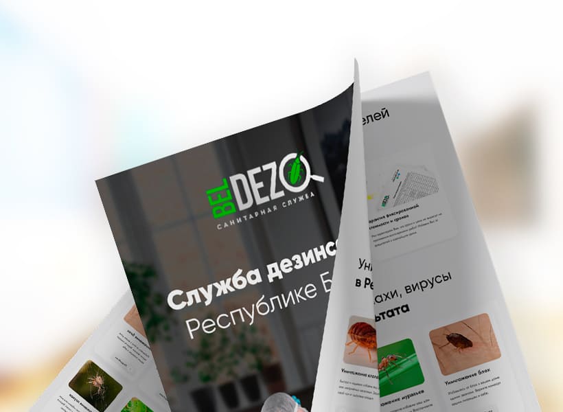 Гарантия результата BelDez.by